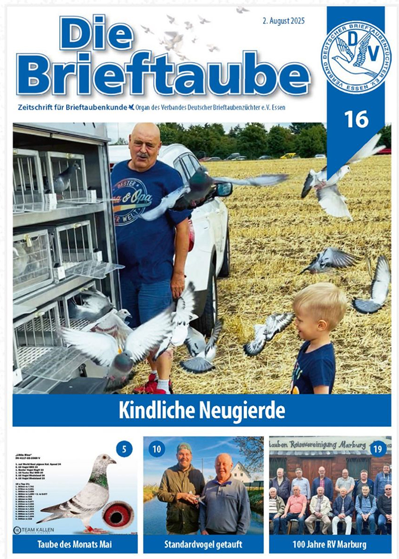 DieBrieftaube2025Titleseiteint