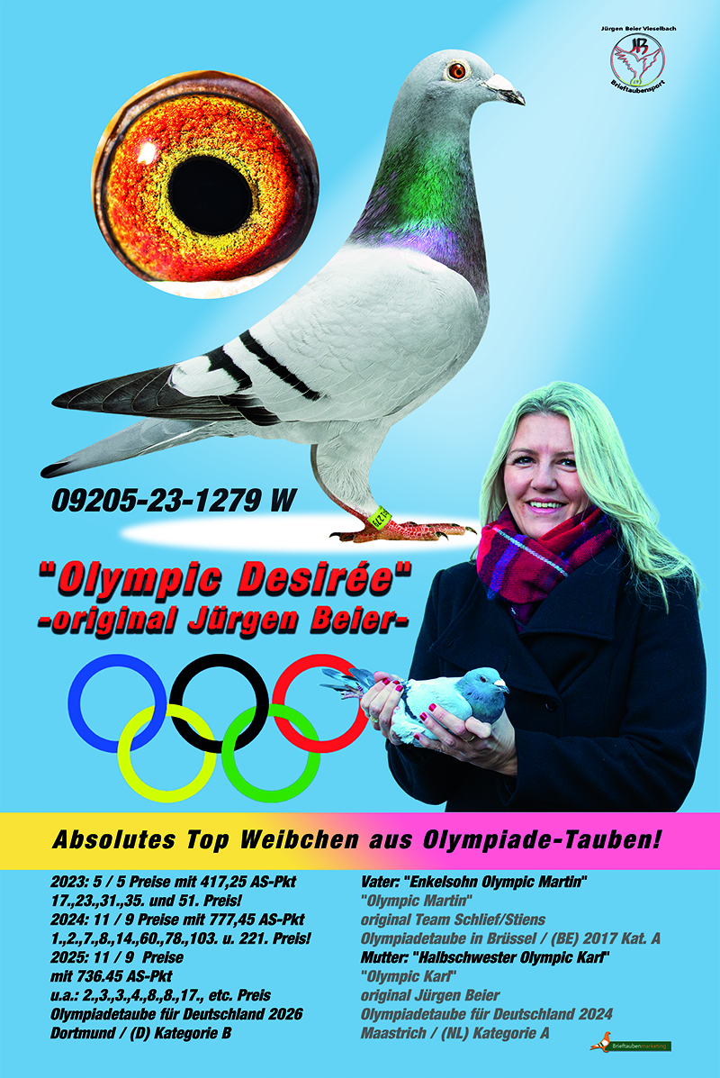 Plakat 80x120 Olympic Desiree int