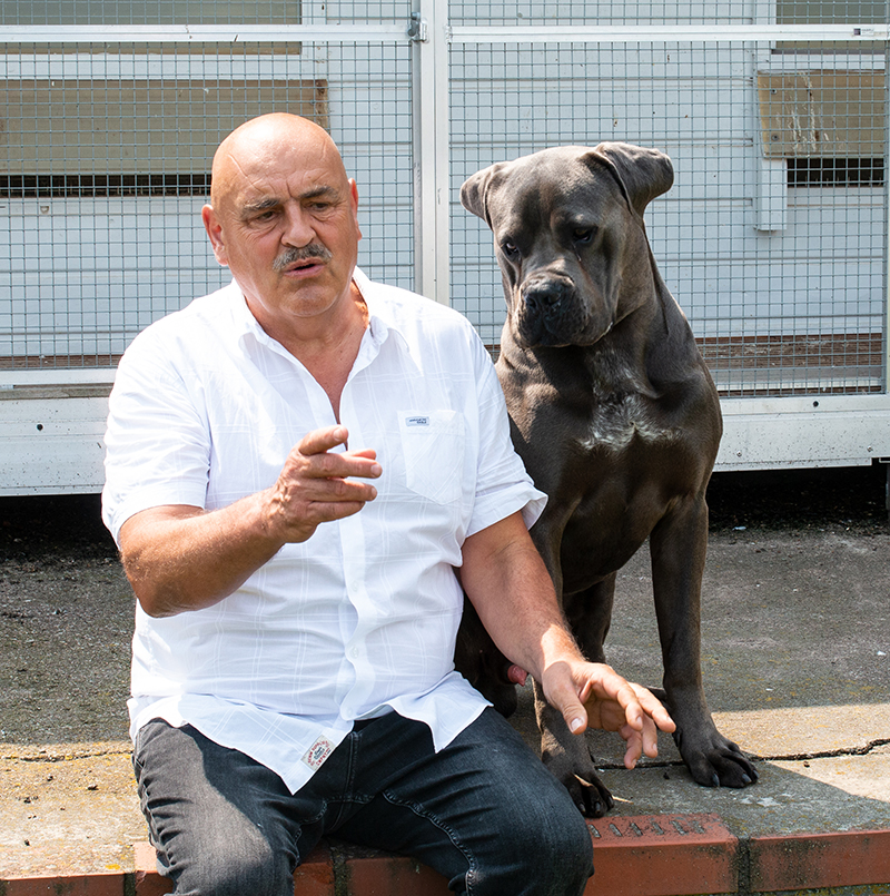 Brieftaubenanhaenger 11